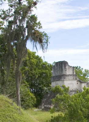 tikal2